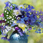 Plants: image 1 0f 16 thumb